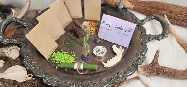 money and wealth spell kit